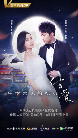 Kết Ái: Mối Tình Đầu Của Thiên Tuế Đại Nhân (The Love Knot: His Excellency's First Love) [2018]