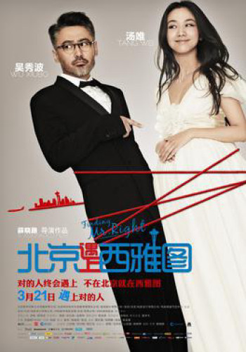 Truy tìm người hoàn hảo (Finding Mr. Right) [2013]